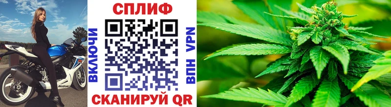 Конопля гибрид  Азов 